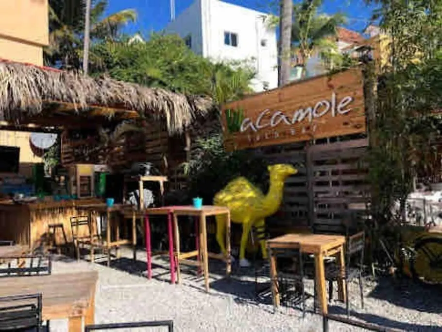 Papaya Apartment Bavaro Just Steps From The Beach. Punta Cana Dominican Republic