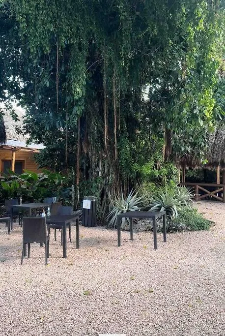 Papaya Apartment Bavaro Just Steps From The Beach. بونتا كانا
