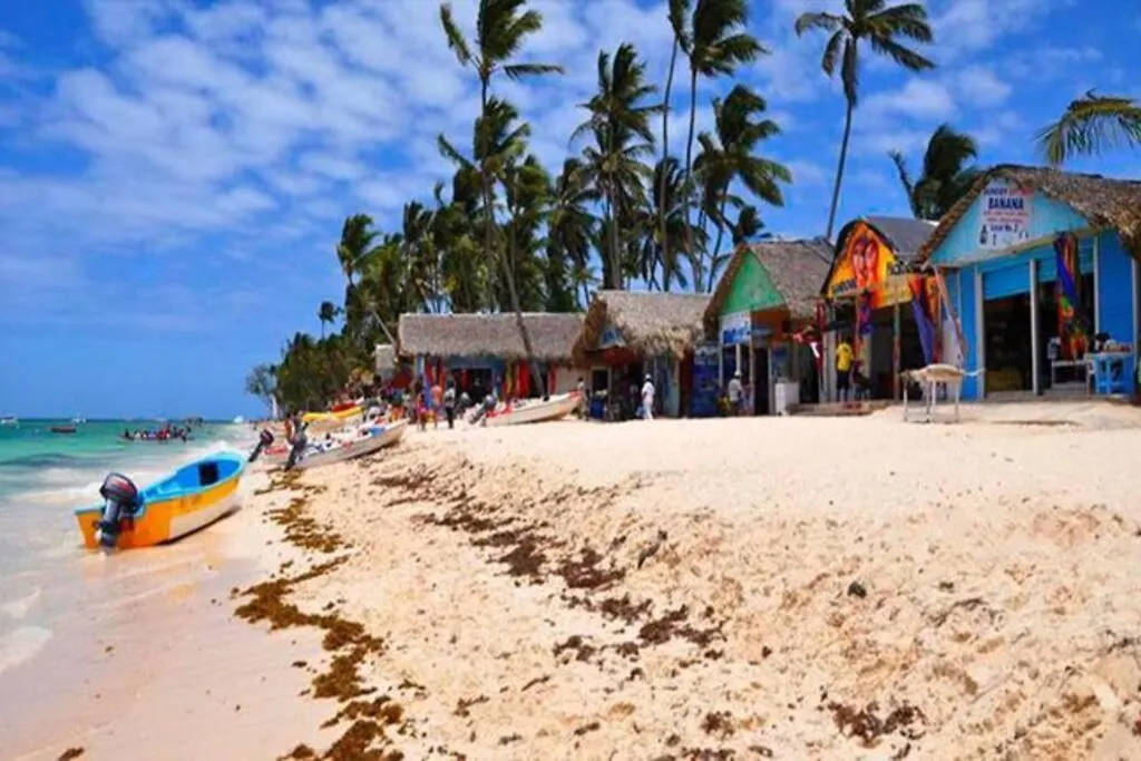 Papaya Apartment Bavaro Just Steps From The Beach. بونتا كانا جمهورية الدومينيكان