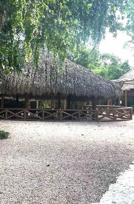 Papaya Apartment Bavaro Just Steps From The Beach. بونتا كانا 0*,  جمهورية الدومينيكان
